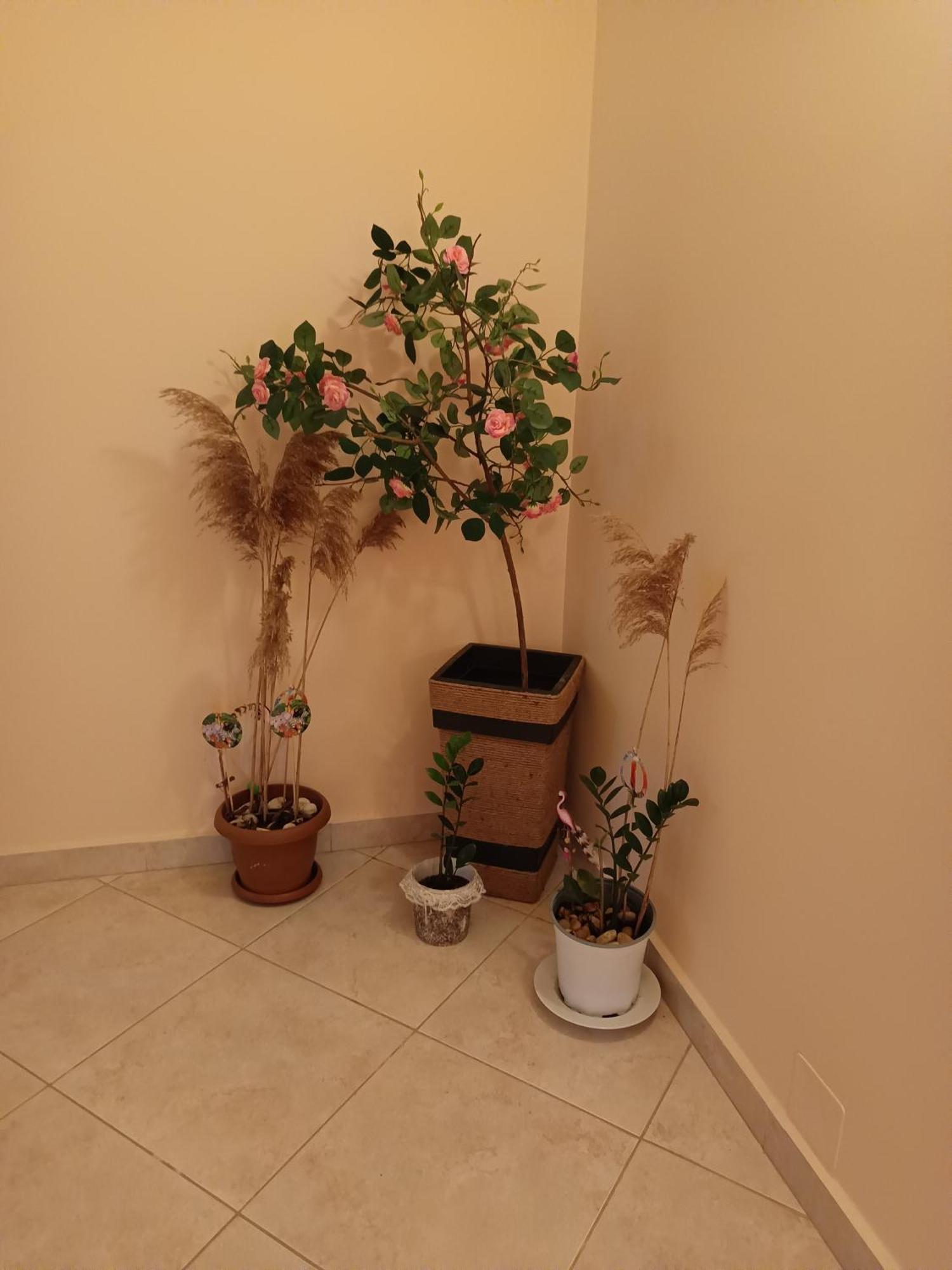 Saranda View E & I Apartment Exterior photo